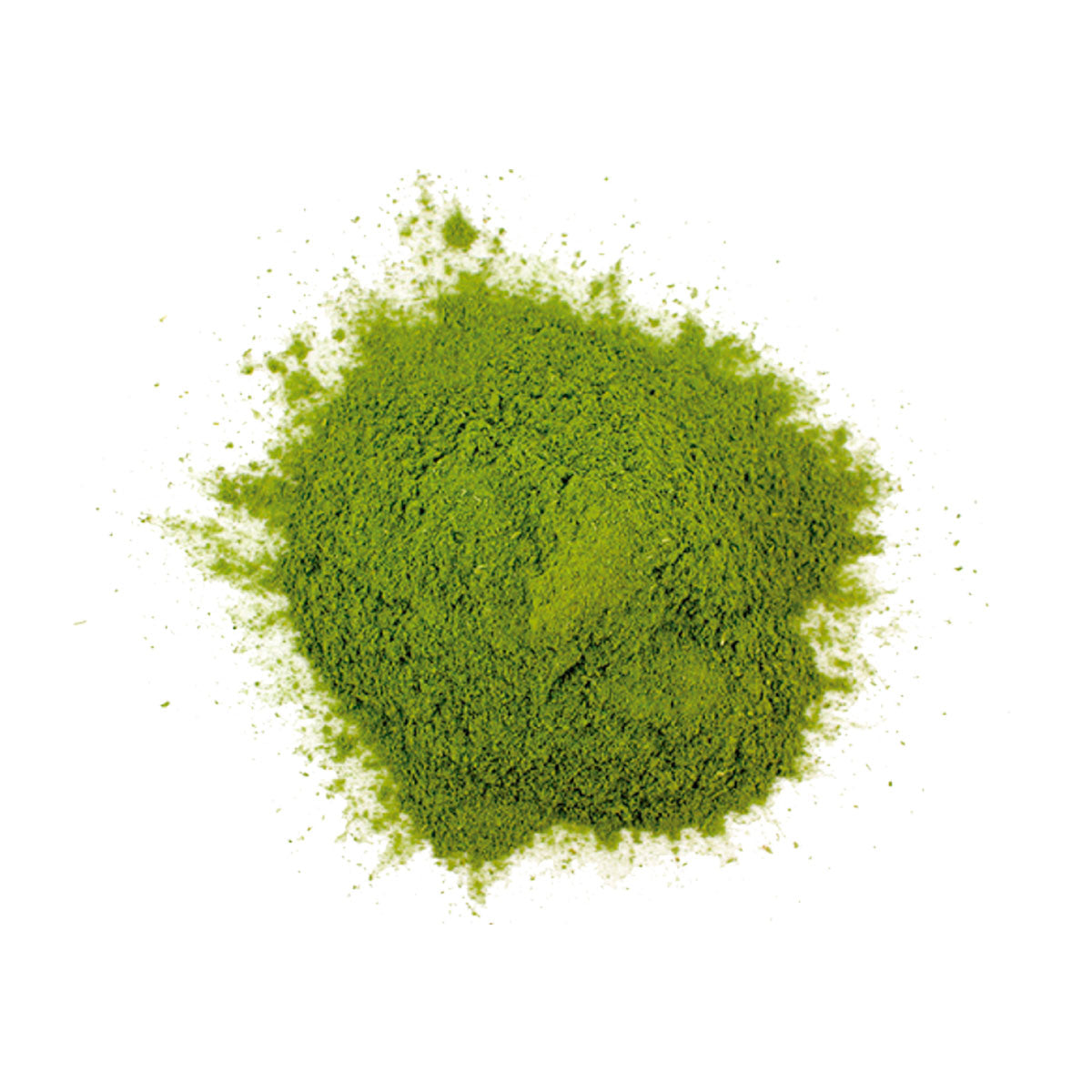 Moringa en Polvo