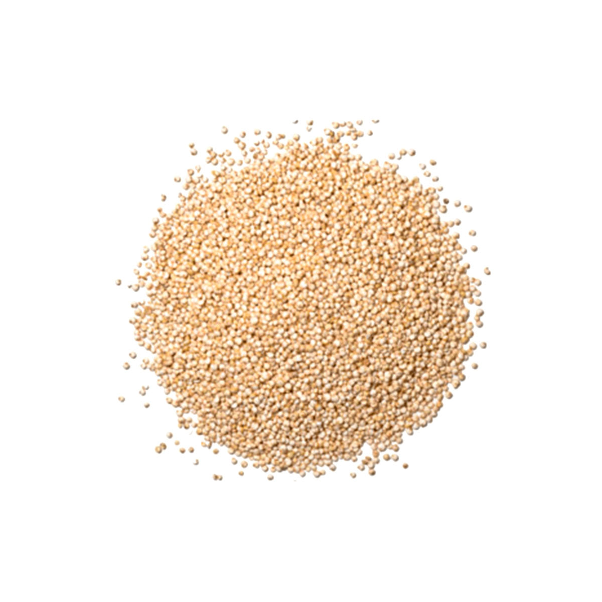 Quinoa en Grano