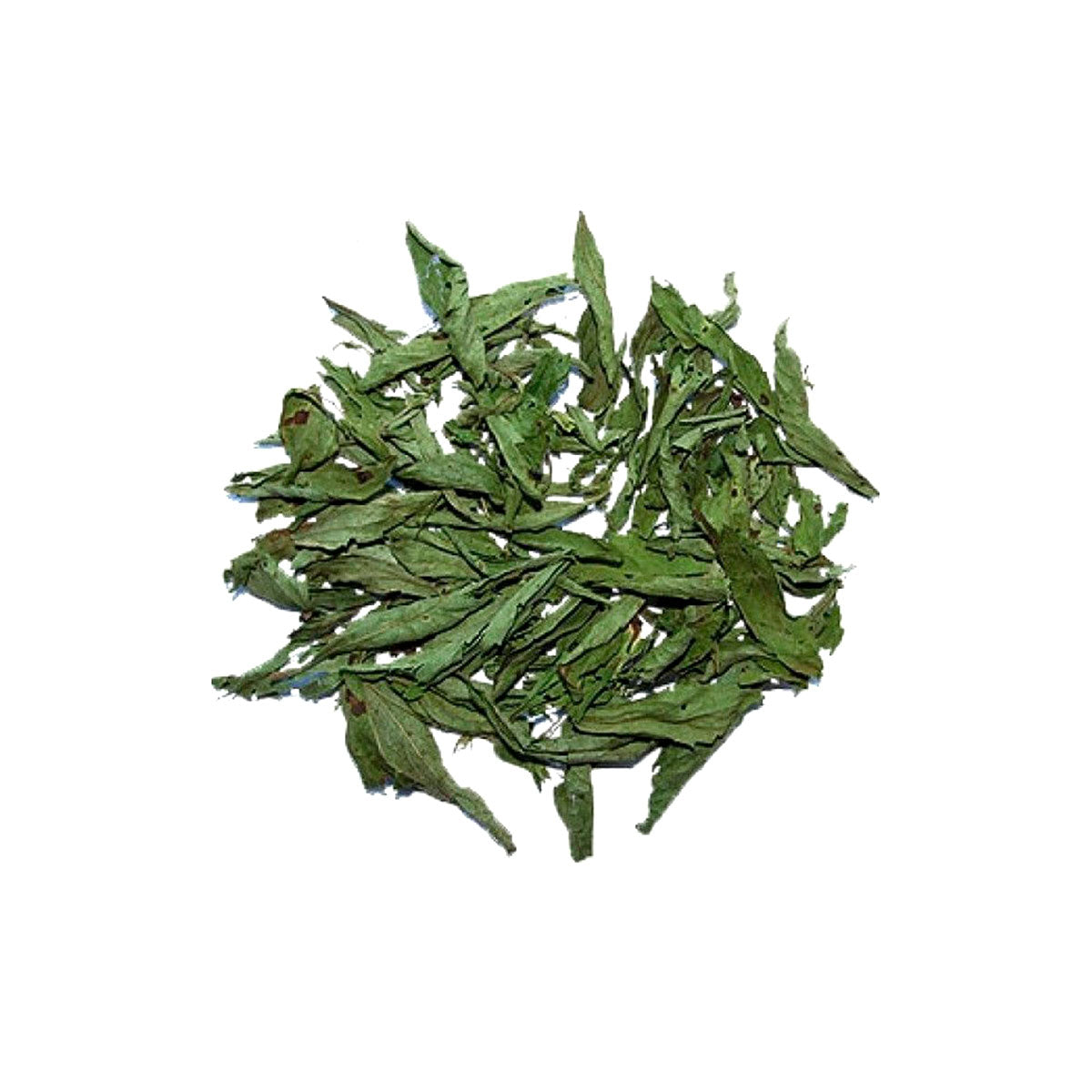 Hoja de Stevia
